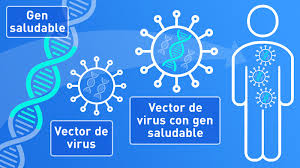 Investigación en terapia genética